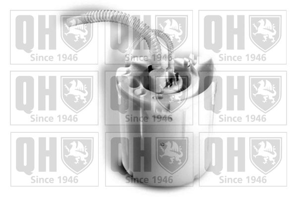QUINTON HAZELL Schlingertopf, Kraftstoffpumpe QFP804
